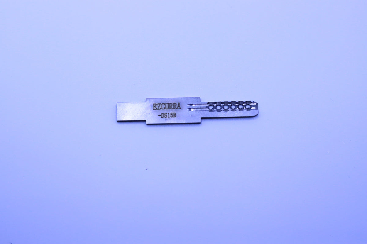 EZCURRA-DS15R