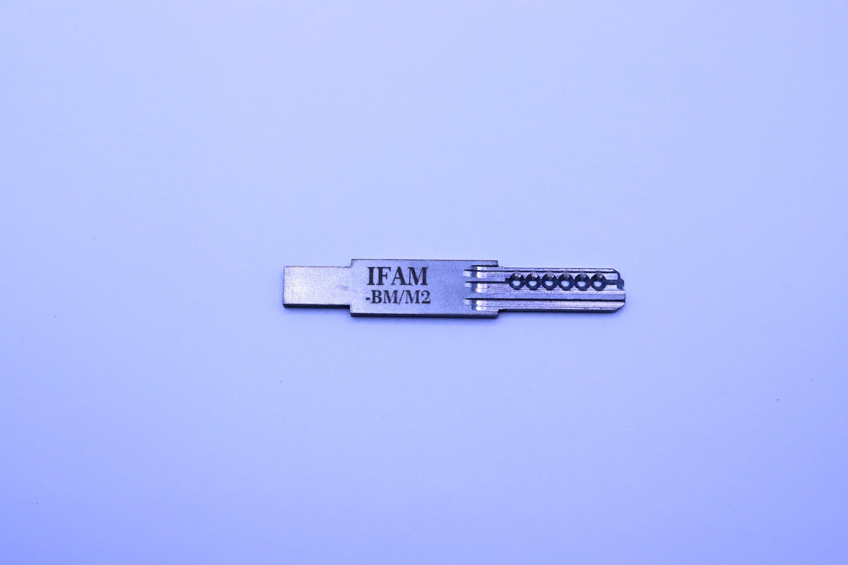 IFAM-BM/M2