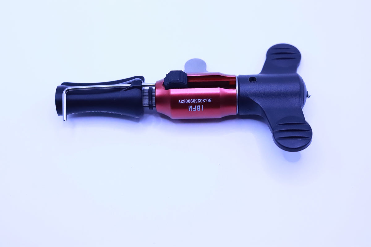 IBFM